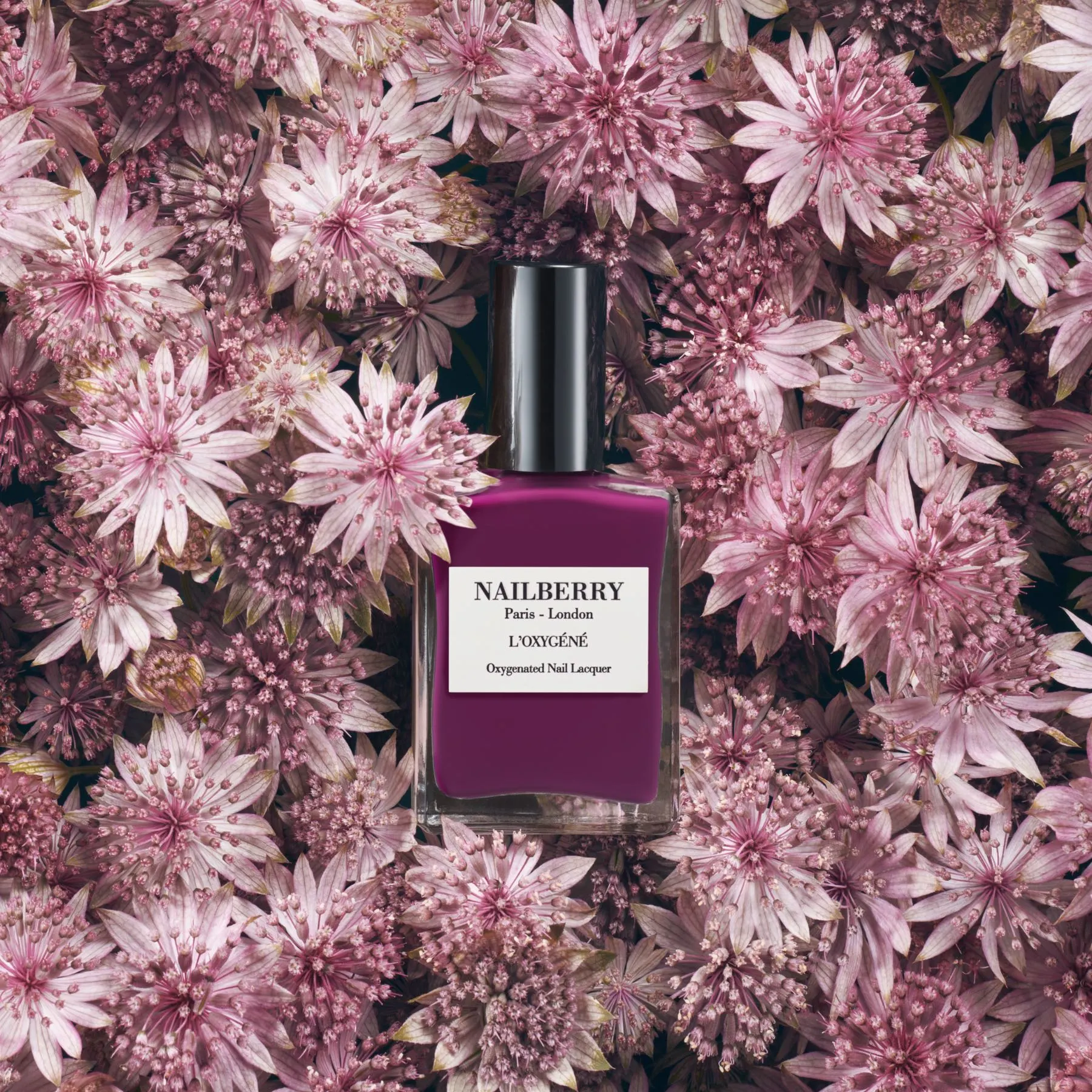 NAILBERRY Extravagant (15 ml.) - Billede 4